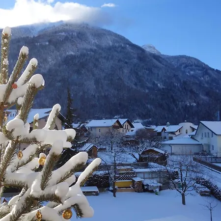 Holztau *