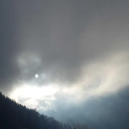 Holztau *