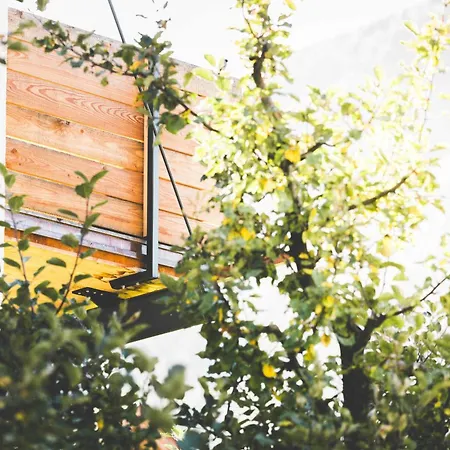 Holztau * 普范德斯