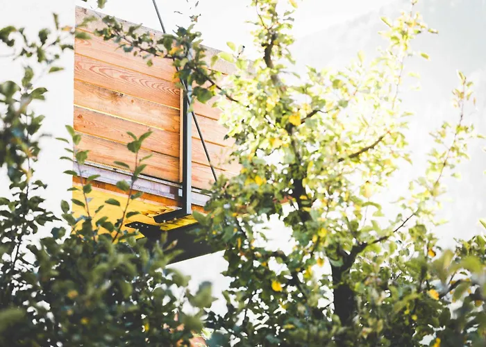 Holztau * 普范德斯